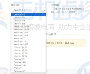 Linux服务器与Windows服务器的主要区别